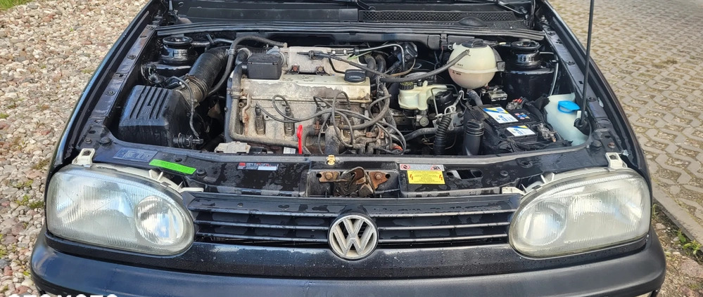 Volkswagen Golf cena 5999 przebieg: 249000, rok produkcji 1995 z Łódź małe 172